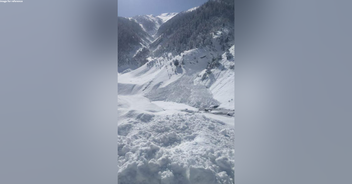 J-K: Avalanche strikes Baltal, along Zojila pass